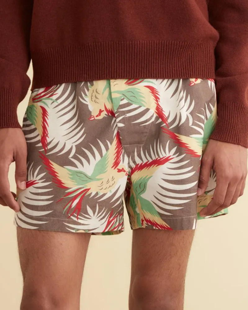 Shorts<BODE Sun Conure Boxers Multi